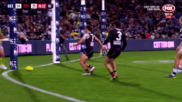 2018 season football GIF by AFL