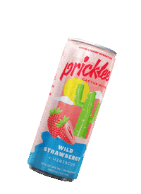 PRICKLEECACTUSWATER water cactus pricklee prickleecactuswater Sticker