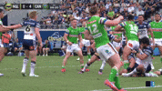Rugby League Nrl GIF by Canberra Raiders