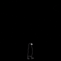 KirstinKassen bird influencer learning raven GIF
