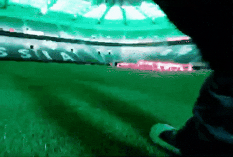 Borussia Dortmund Arena GIF by Jan Metternich
