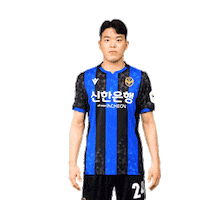Football Soccer Sticker by Incheon United FC