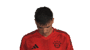 Look Up Fc Bayern Sticker by Bundesliga