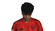 Look Up Fc Bayern Sticker by Bundesliga