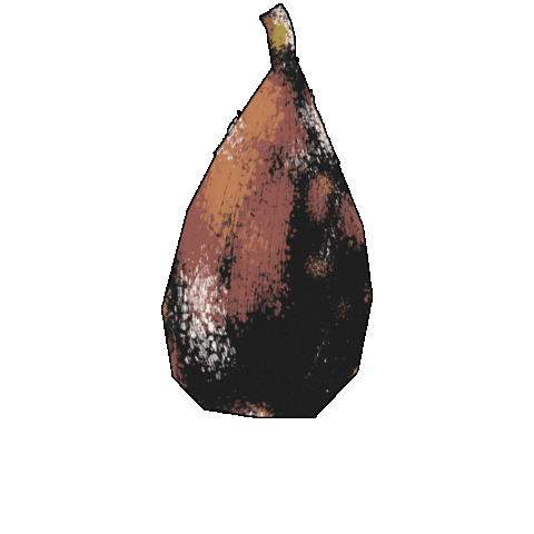 Fig Sticker by Evoolution