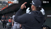 Good Times Baseball GIF by YES Network
