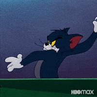 Chasing Tom And Jerry GIF by HBO Max