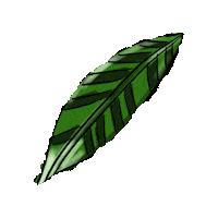 Plants Leafs Sticker