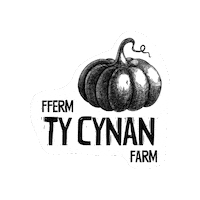 Pumpkin Picking Sticker by Ty Cynan