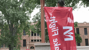 MSUMoorhead dragons msum minnesota state university moorhead take flight GIF