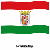 Santa Fe Flag GIF by Formación Ninja