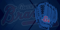 great catch GIF by Gwinnett Braves