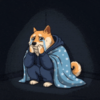 Sad Shiba Inu GIF by Doge Pound