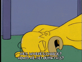 homer simpson GIF