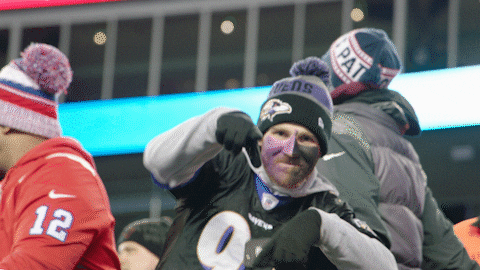 Happy National Football League GIF by Baltimore Ravens
