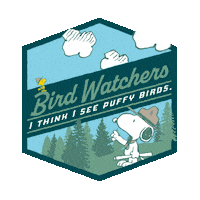 Camping Comic Strip Sticker by Peanuts