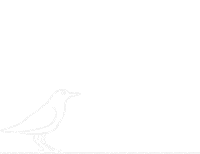 Bird 2D Sticker by UFSCSustentavel