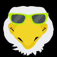 EasternMichU eagles swoop eastern michigan university truemu GIF