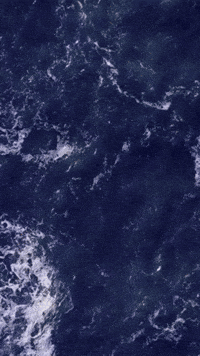 Naive_ua beach aesthetic vacation handmade GIF