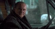 Home Alone Snakes GIF