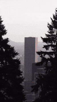Japanese Garden Portland GIF by EDGARDUDE