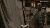 cbc what GIF by Kim's Convenience
