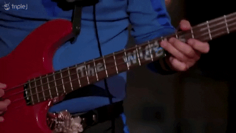 courtwhip giphygifmaker elephant the wiggles triple j GIF