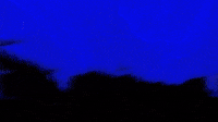 Awoo!