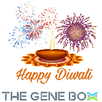 Happy Diwali Sticker by The Gene Box