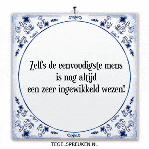 Wijsheid Reflectie GIF by Tegelspreuken.nl