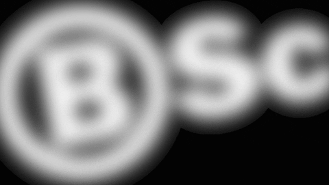 bsc logo GIF by Bodyscience