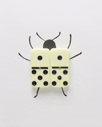 Stop Motion Bug GIF by cintascotch