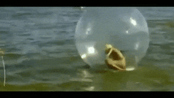 Foreplay GIF