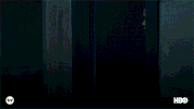 season 2 GIF by Westworld HBO