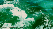 Water Loving GIF