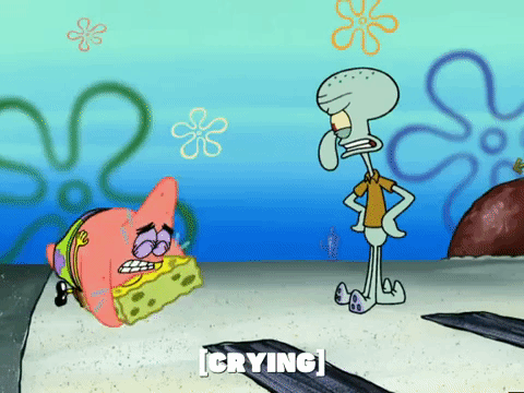 season 5 episode 3 GIF by SpongeBob SquarePants
