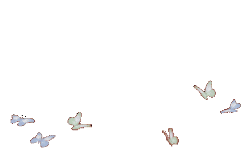 Pink Butterfly Sticker