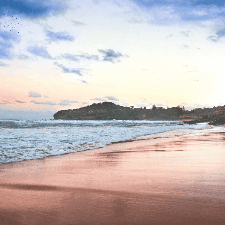 jason-nissen giphygifmaker giphyattribution GIF