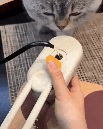 crisgarrido giphygifmaker GIF