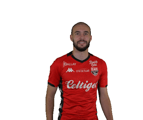 Ligue 2 Football Sticker by EA Guingamp