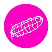 Copa Lomo Sticker by The Larderhouse