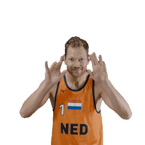 Dutch Team Beach Sticker by Nevobo