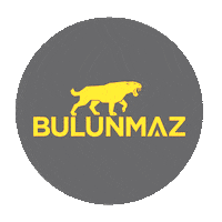 bulunmaz  Sticker