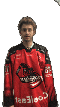 Pirates Aalborg Sticker by AalborgPirates