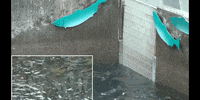 Water Swimming GIF by DIIMSA Stock