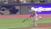 Celebrate Major League Baseball GIF by MLB