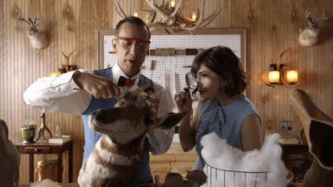 season 5 episode 10 GIF by Portlandia