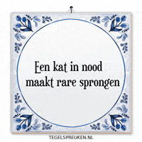 Humor Spanning GIF by Tegelspreuken.nl