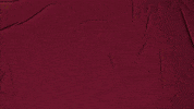 College Baseball GIF by Pearl River Athletics