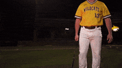 College Baseball GIF by Pearl River Athletics